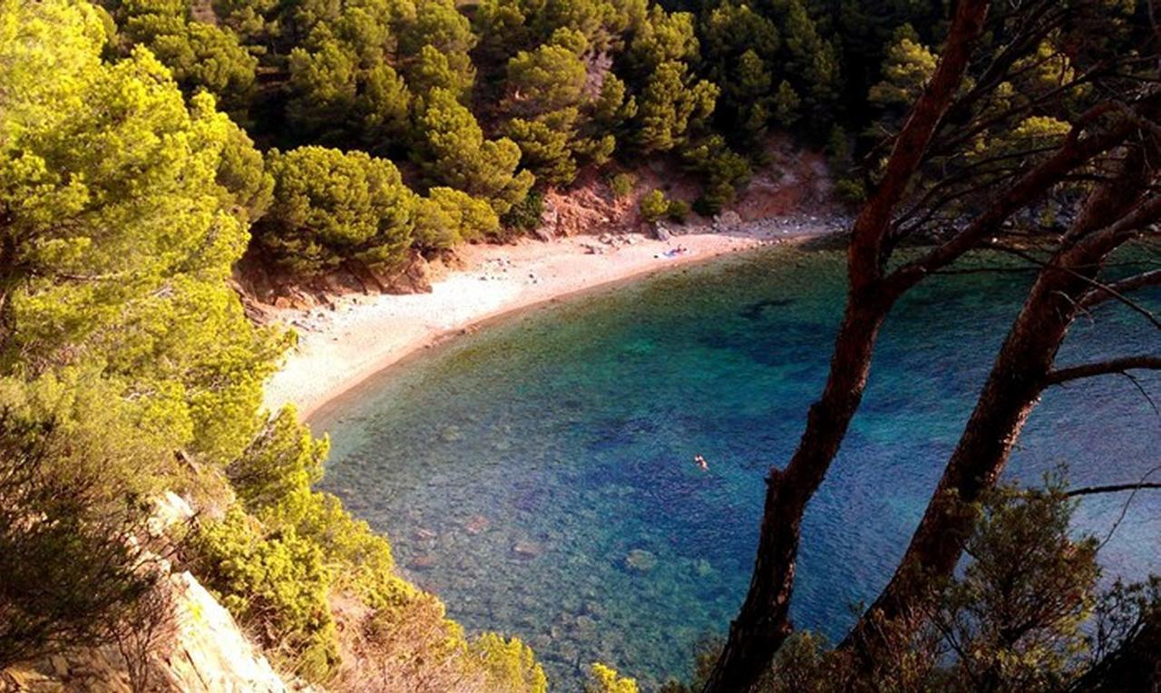 Fantastico Studio, Vista Mare, 5mn Dalla - Casa Artevida Rosas